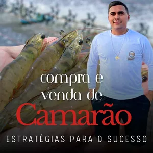 Imagem de capa para o Curso online Compra e Venda de Camarão: Estratégias para o Sucesso