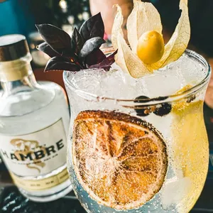 Imagem de Curso Homemade  criado por Bartender.Br na hotmart