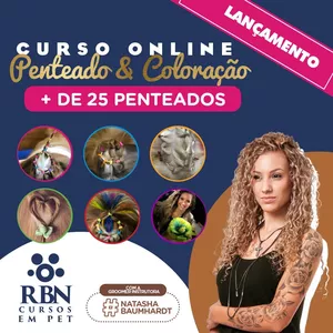Curso de Penteado Pet com Coloração 