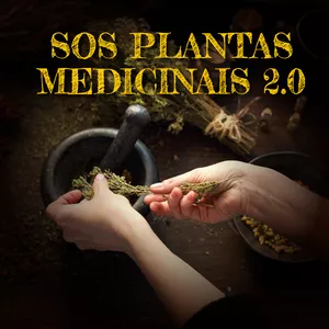 Imagem de capa para o Curso online SOS PLANTAS MEDICINAIS 2.0