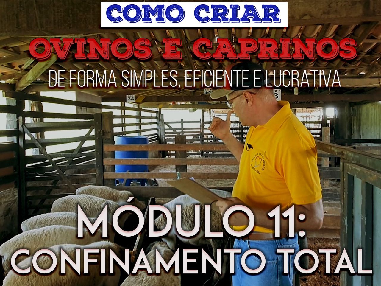 Curso - CONFINAMENTO TOTAL PARA OVINOS E CAPRINOS