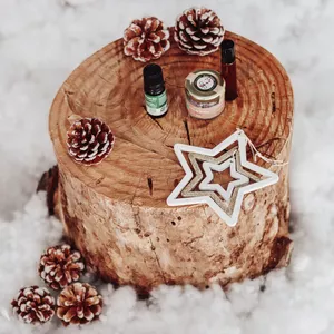 Imagem de capa para o Curso online Curso de Prendas Ecológicas