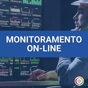 Imagem de capa para o Curso online Monitoramento On-line de ativos