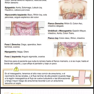 Imagen de portada para Ebook Semiologia Abdominal