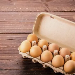 Pasteurização de ovos em casa: o que falta para chegarmos lá?