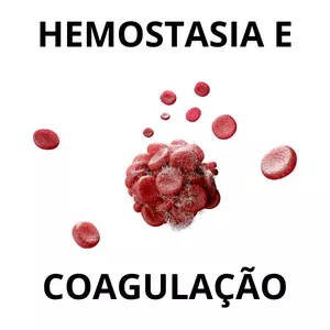 Imagem de capa para o Curso online HEMOSTASIA E COAGULAÇÃO