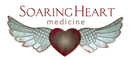 Heart Space Academy 