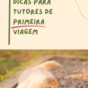 Imagem de capa para o Ebook Golden Retriever - Dicas para tutores de primeira viagem
