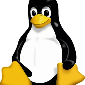Imagem de capa para o Curso online CURSO TI | ADMINISTRAÇÃO VPS LINUX