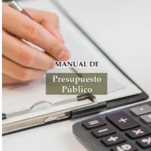 Imagen de portada para Ebook Presupuesto Público
