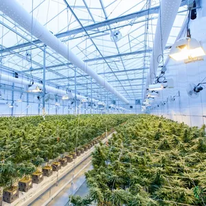 Imagen de portada para Ebook Estratégias Efectivas para el Cultivo y Crecimiento de Plantas