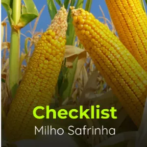 Imagem de capa para o Curso online Checklist Milho - Safrinha 