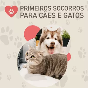Imagem principal do produto Primeiros Socorros para Cães e Gatos
