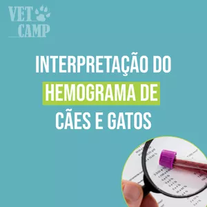 Interpretação do Hemograma de Cães e Gatos