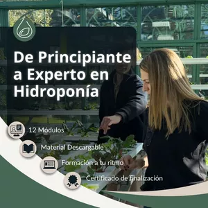 Imagen de portada para Curso online De Principiante a Experto en Hidroponía