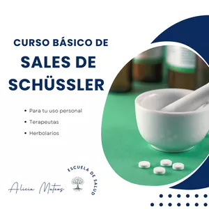 Imagen de portada para Curso online Curso básico de Sales de Schüssler
