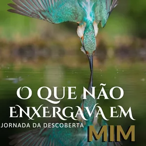 Imagem de capa para o Ebook O QUE NÃO ENXERGAVA EM MIM