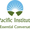 Pacific Institute for Essential Conversations