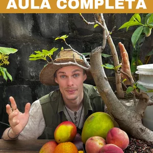 Imagem de capa para o Curso online O SEGREDO das FRUTÍFERAS PRODUTIVAS