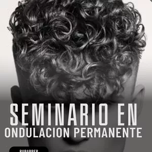 Imagen de portada para Curso online Seminario Ondulación Permanente