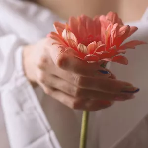 Imagem do curso AYURVEDA E A SAÚDE DA MULHER