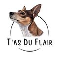T'as du flair - Académie logo