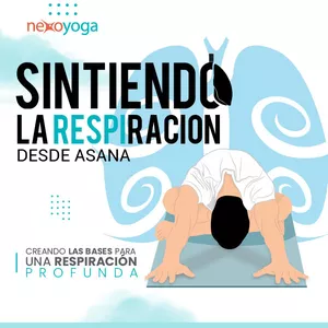 Imagen de portada para Curso online Sintiendo la respiración desde Asana. Curso de Respiración en Yoga