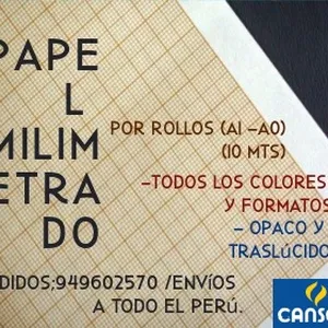 Imagen de portada para Ebook Papel Milimetrado: La Herramienta Perfecta para Proyectos de Precisión