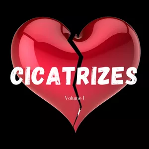 Imagem de capa para o Ebook Cicatrizes 