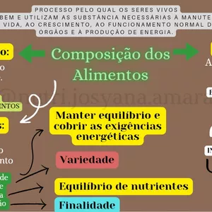 Imagem de capa para o Ebook MAPA MENTAL NUTRIÇÃO  (COMPOSIÇÃO DOS ALIMENTOS)