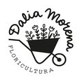 ESCUELA DALIA MORENA 2024 logo