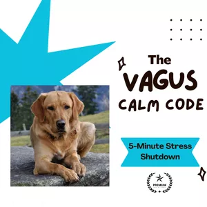 Cover image for Ebook THE VAGUS CALM CODE