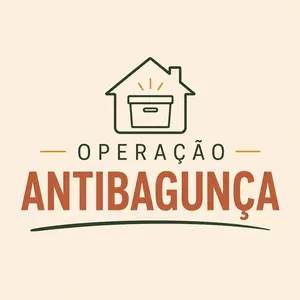 Imagem do curso Operação AntiBagunça